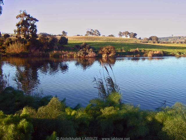 Réghaia photos Réghaia ma ville