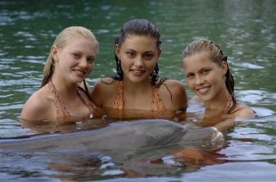 les sirenes et leur dauphin
