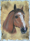 Slavinia